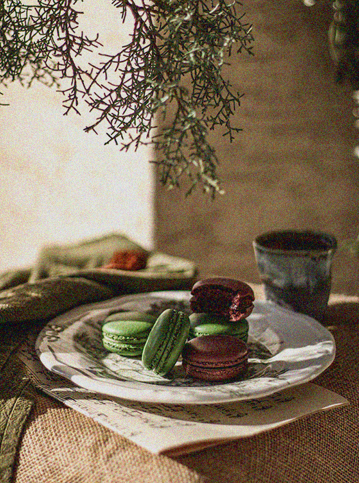 Alexandra Bourgouin - Mes projets - Hamac & Macarons