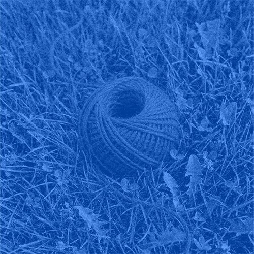 Alexandra Bourgouin - vignette projets - Sofie Vinet