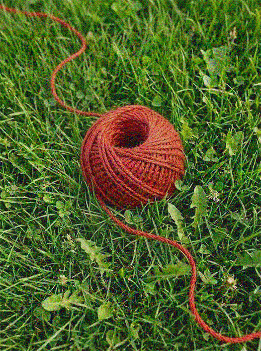 Alexandra Bourgouin - Mes projets - Sofie Vinet